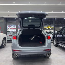 
										2024 GEELY TUGELLA full									