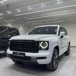 2025 HAVAL H9