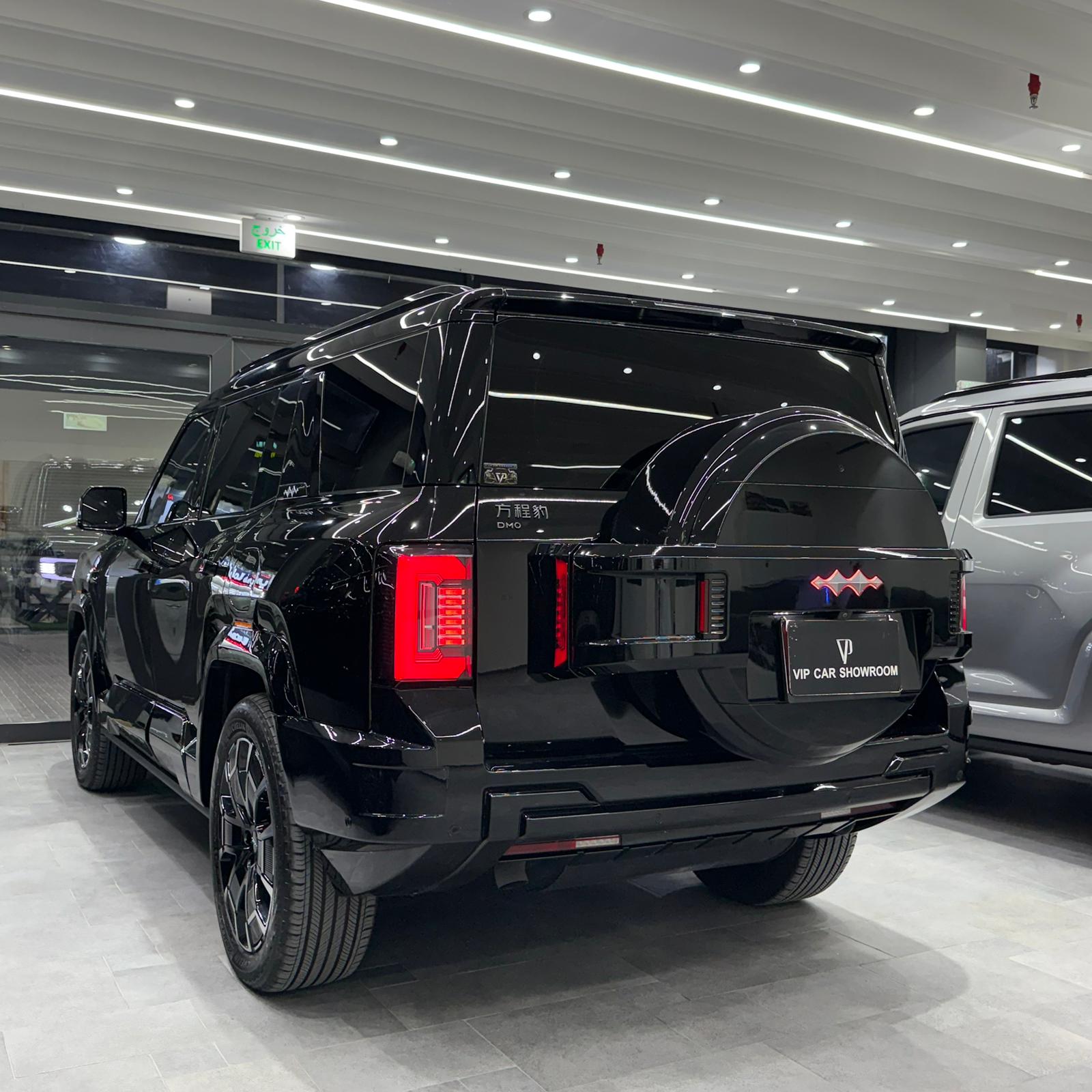2025 BYD LEOPARD 8