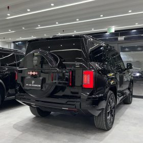 2025 BYD LEOPARD 8